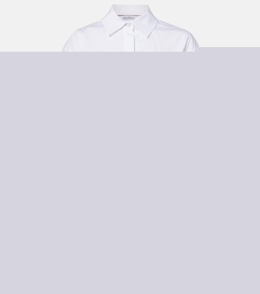 max mara belted cotton poplin shirt dress