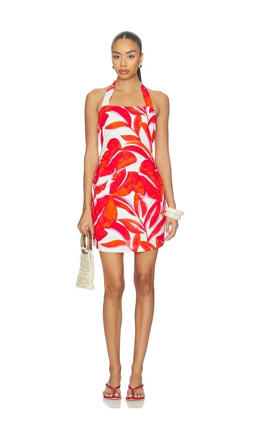 minkpink ravelo halter mini dress in red. - size l (also in m, s, xl, xs)