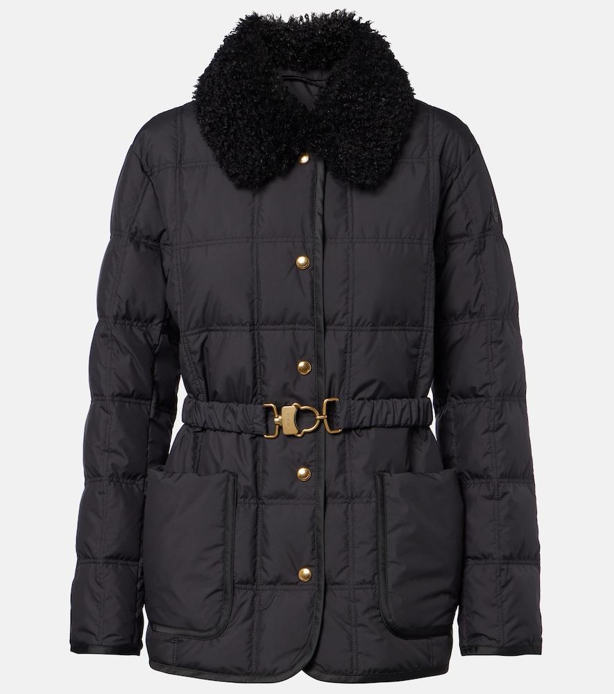 moncler cygnes down jacket
