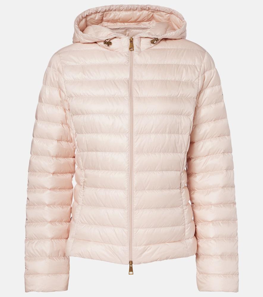 moncler igelhood down jacket