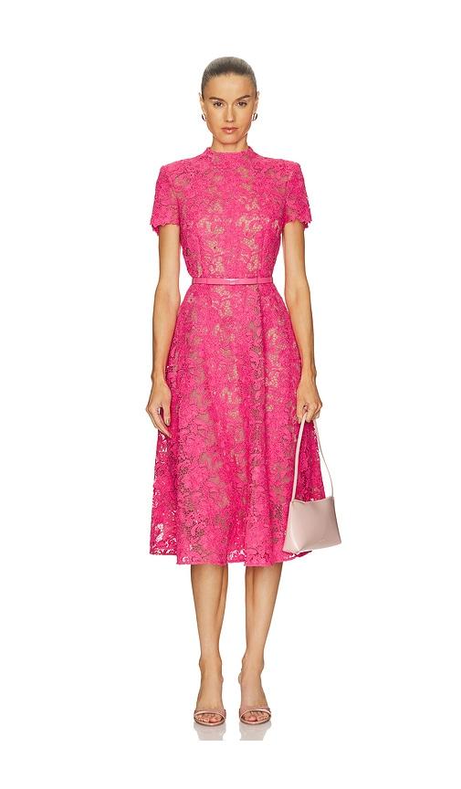 nadine merabi lace midi dress in pink. - size 10/l (also in 2/xs, 4/s)