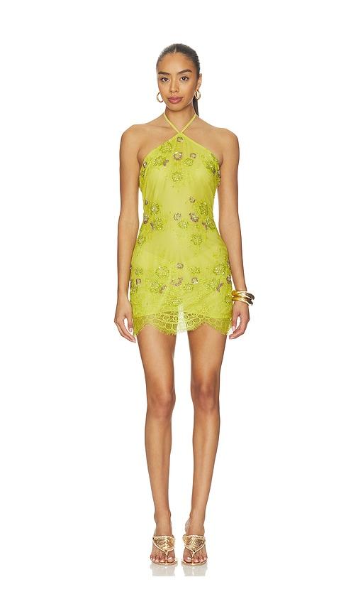 nbd nimrata mini dress in green. - size l (also in s)