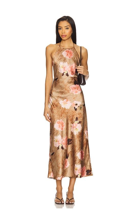 nia leah dress in brown. - size m (also in xl)