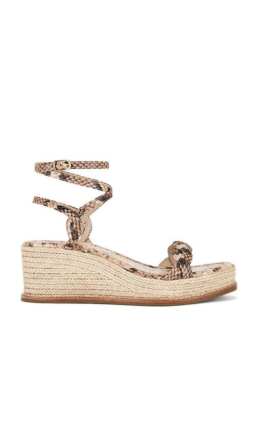 paige joanna sandal in brown. - size 10 (also in 6, 7.5, 8, 8.5)
