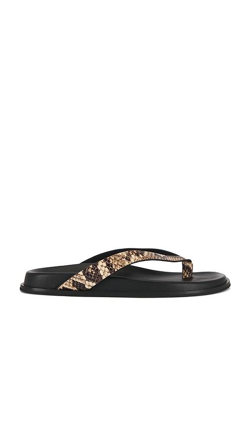 paige zadie sandal in tan. - size 10 (also in 6, 6.5, 7, 8, 9, 9.5)