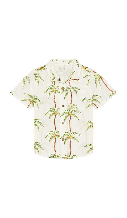 pink chicken boys jack shirt in cream. - size 2 (also in 3, 4, 5, 6)