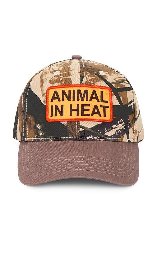 pleasures heat snapback hat in brown.