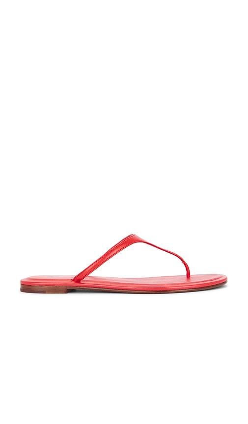 polo ralph lauren nappa thong flat sandals in red. - size 10 (also in 6, 7, 8, 8.5)