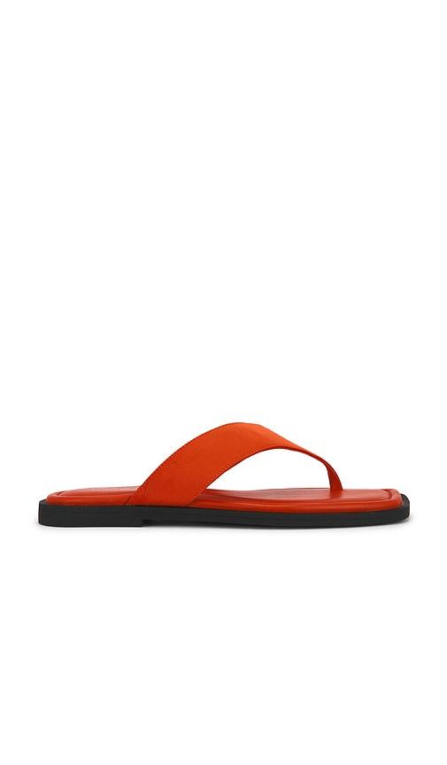 rag & bone gracie thong sandal in red. - size 36 (also in 37.5, 41)
