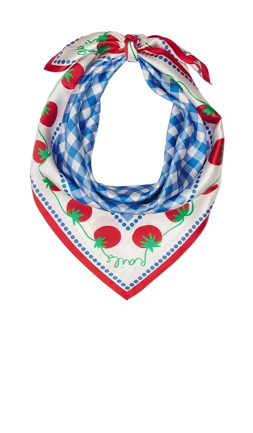 rails x giadzy cosima scarf in blue,white.