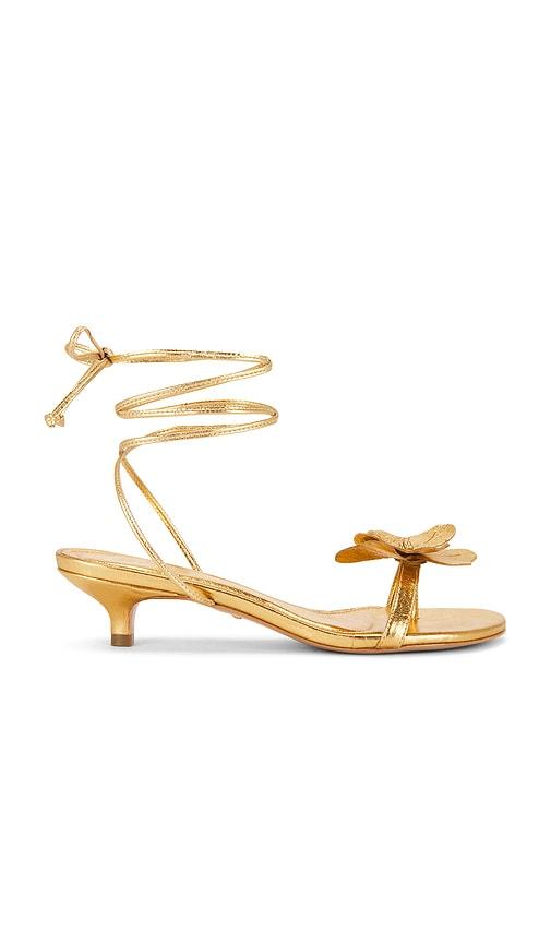 raye catalina sandal in metallic gold. - size 6 (also in 7, 8)