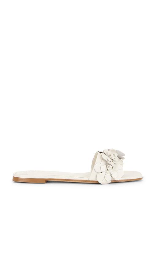 raye iris flat in ivory. - size 7 (also in 8.5)