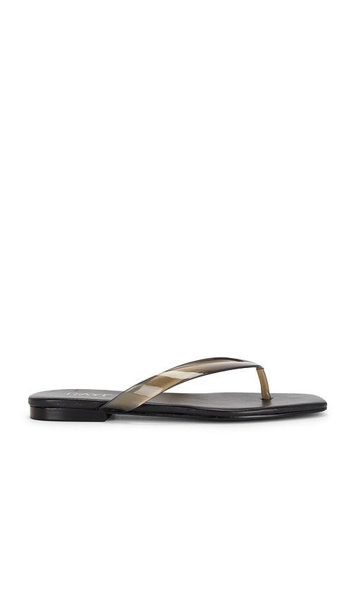 raye paloma flip flop in black. - size 6 (also in 7, 8)