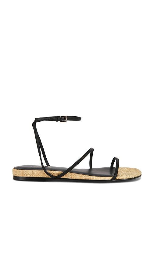 raye sabine sandal in black. - size 5.5 (also in 6, 6.5, 7, 7.5, 8.5)
