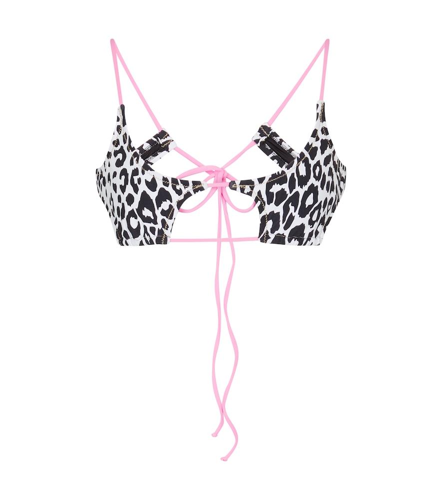 reina olga theresa leopard-print bikini top