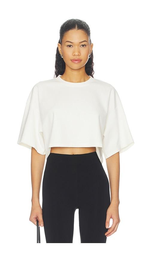 ripley rader ponte knit crop top in white. - size l (also in s, xs, m)