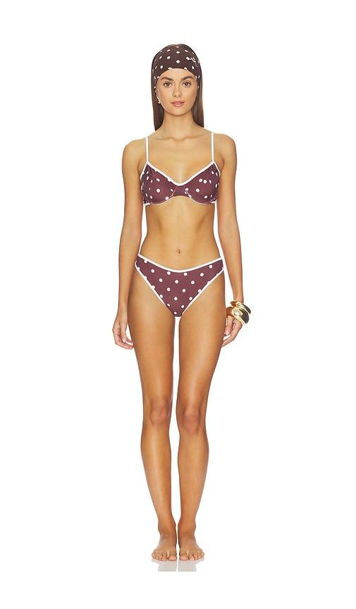 rowen rose bikini printed lycra in brown. - size 34 (also in 36, 38, 40, 42)