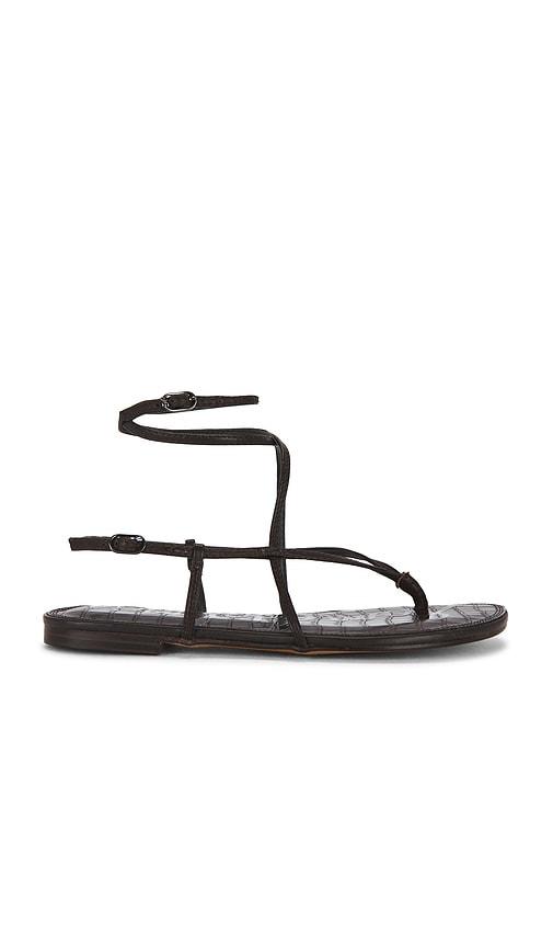 sam edelman clarra sandal in chocolate. - size 10 (also in 6, 6.5, 7, 7.5, 8, 8.5, 9, 9.5)