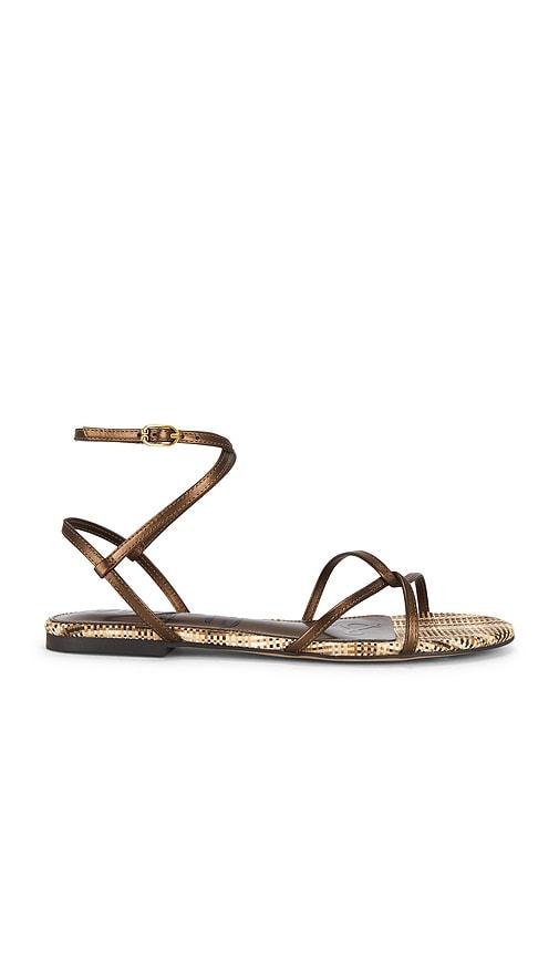 sam edelman ellina sandal in metallic bronze, brown. - size 6 (also in 6.5, 7, 7.5, 8, 8.5, 9, 9.5)