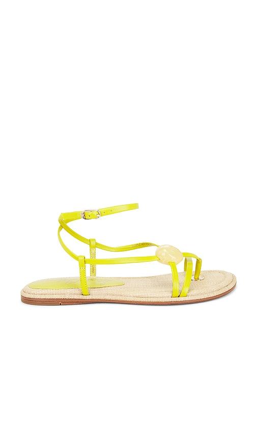 sam edelman rillie sandal in green. - size 10 (also in 6, 6.5, 7, 7.5, 8, 8.5, 9, 9.5)