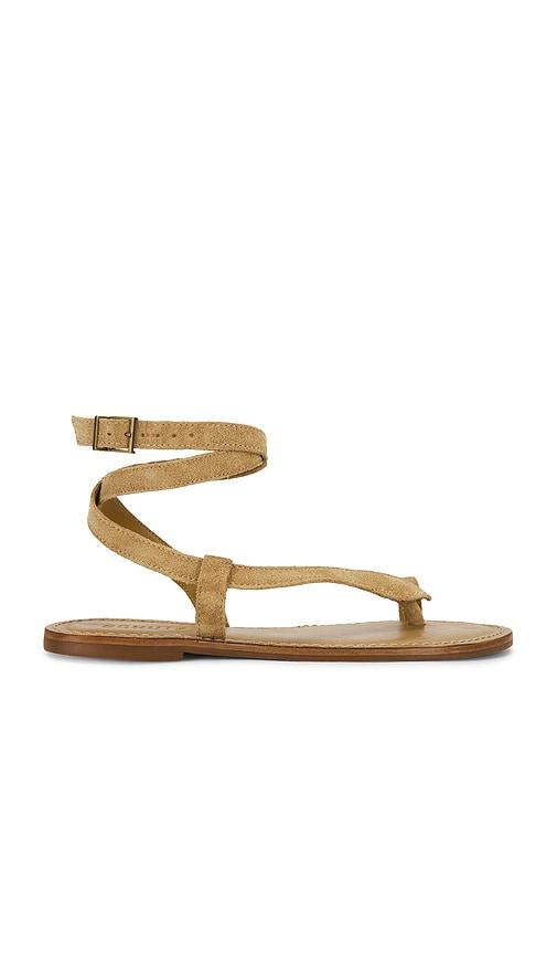 schutz cleo flat sandal in olive. - size 10 (also in 6.5, 8.5, 9.5)