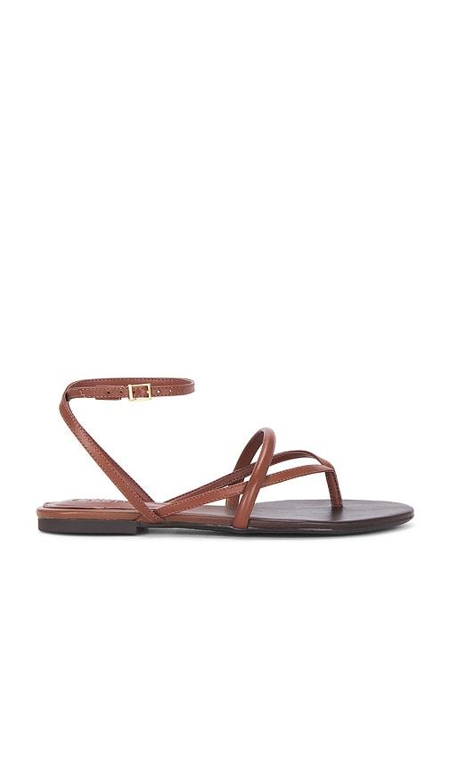 schutz diana flat sandal in brown. - size 10 (also in 9.5)