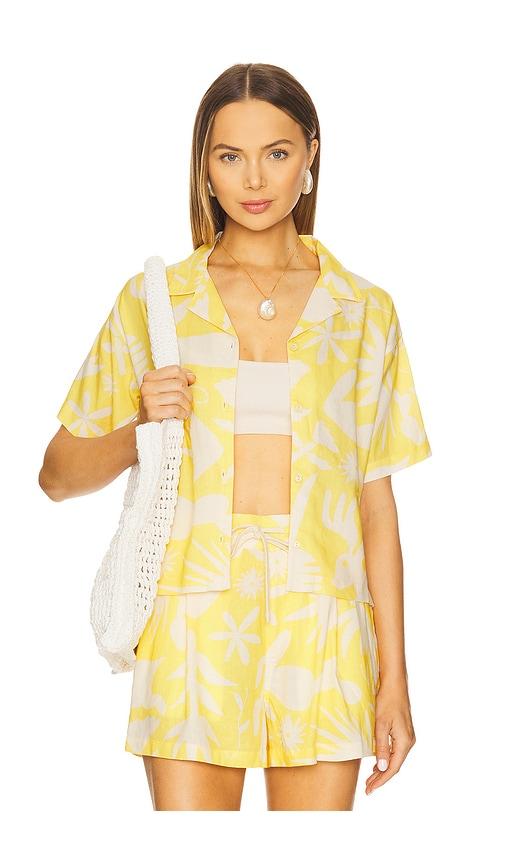 sendero provisions co. isla top in yellow. - size l (also in xs, s, m, xl/1x)