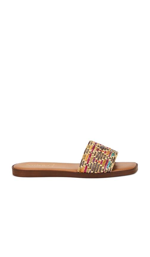 seychelles palm oasis sandal in brown. - size 6 (also in 6.5, 7, 7.5, 8, 9)