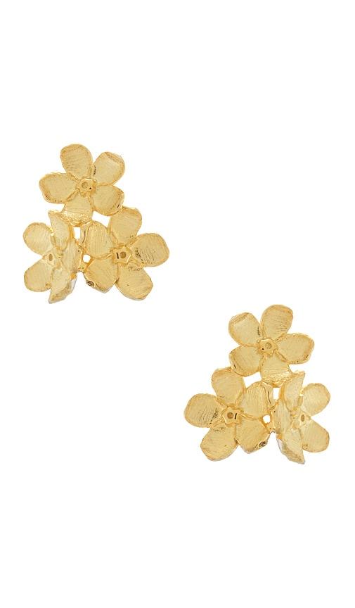 shashi chinoiserie stud earrings in metallic gold.