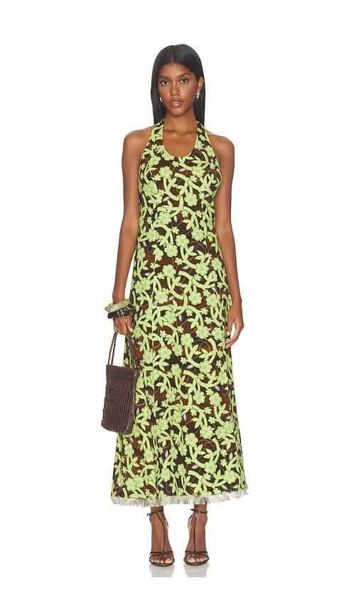 siedres zenya dress in green. - size 34 (also in 36, 38, 40)