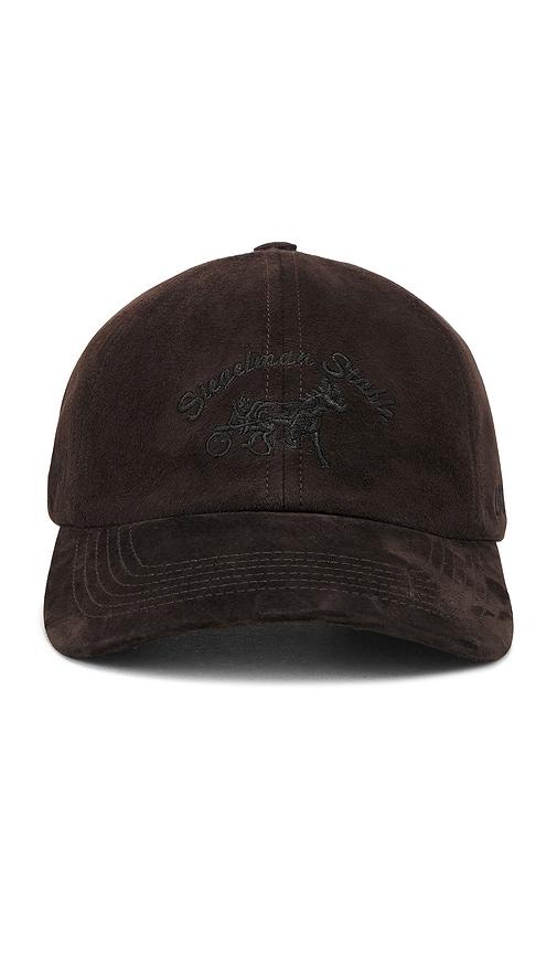 siegelman stable x fwrd suede dad hat in brown.