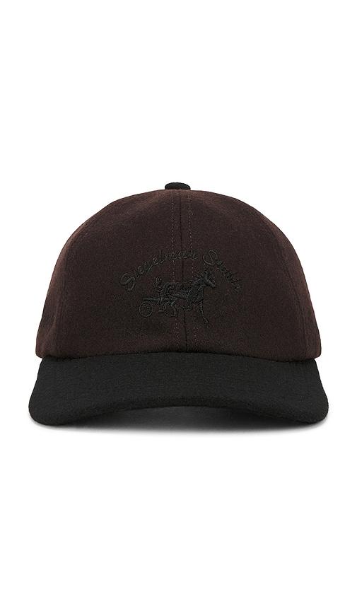siegelman stable x fwrd wool dad hat in brown.