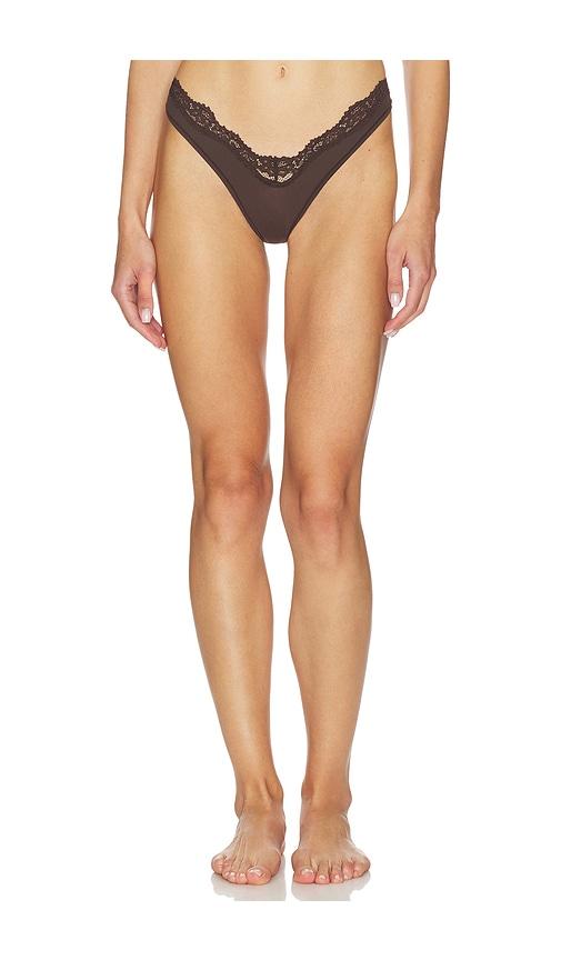 skims fits everybody lace dip thong in brown. - size l (also in xl)