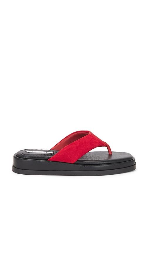 steve madden bella sandal in red,black. - size 8 (also in 8.5, 9)