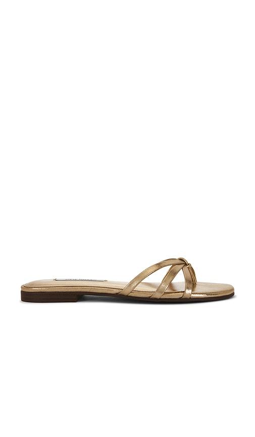 steve madden calissi sandal in metallic gold. - size 10 (also in 6, 6.5, 7, 7.5, 8, 8.5, 9, 9.5)