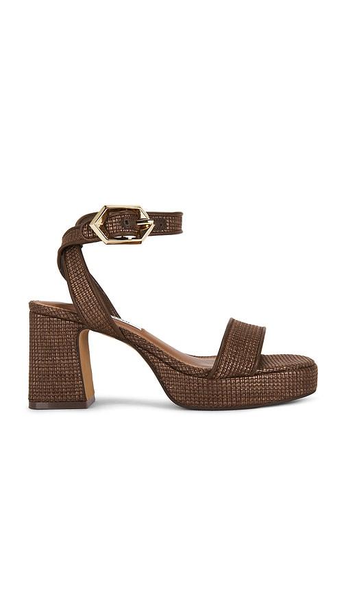 steve madden elida sandal in brown. - size 10 (also in 5.5, 6, 7, 7.5, 8, 8.5, 9, 9.5, 11)