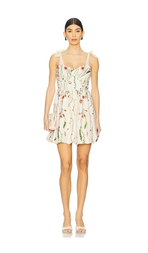 steve madden kavala dress in cream. - size 10 (also in 6, 8)