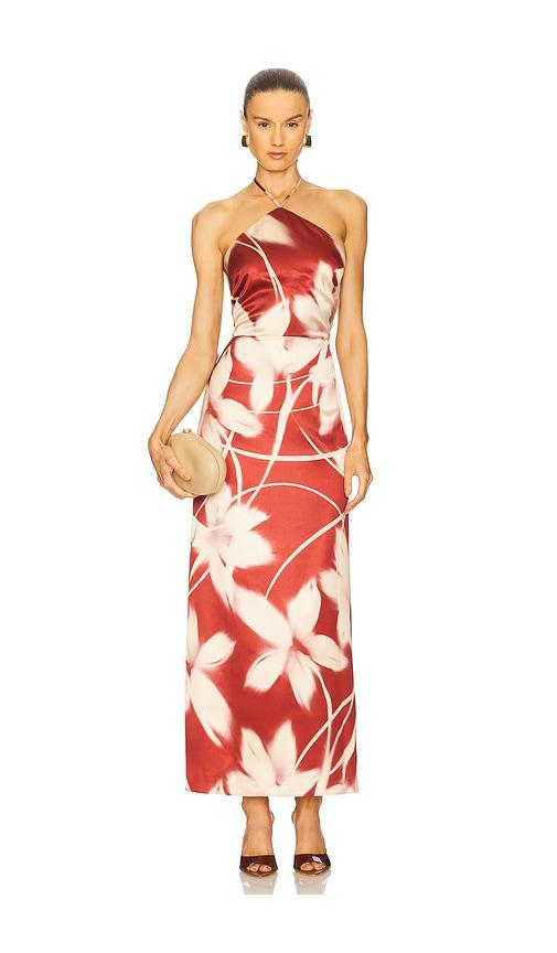 steve madden oaklyn dress in rust. - size 0 (also in 10, 2, 4, 8)