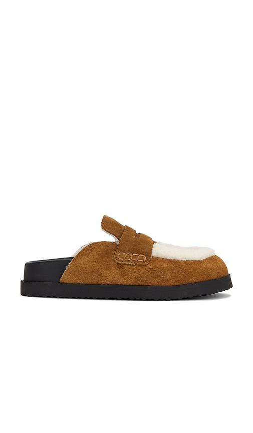 steve madden tomlin clog in tan. - size 6 (also in 8)