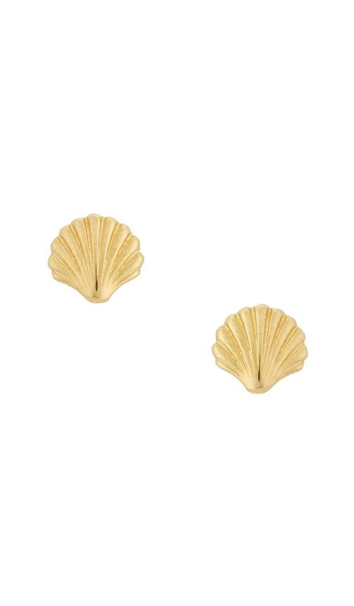 stone and strand scallop shell earrings in metallic gold.