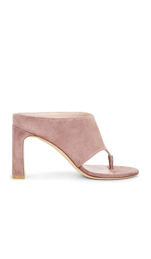 stuart weitzman babette thong 85 sandal in pink. - size 6 (also in 6.5, 7, 7.5, 8, 8.5, 9)