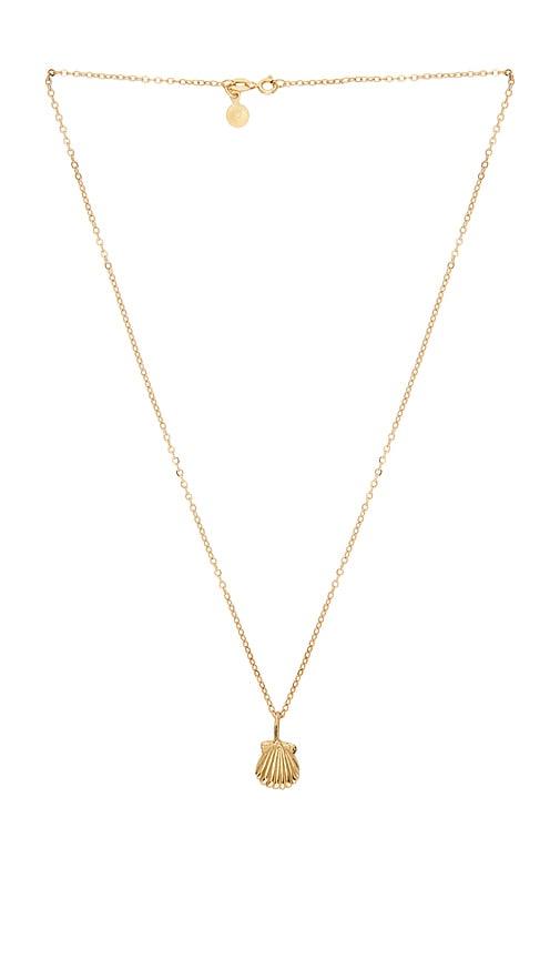 studio conchita conchita necklace in metallic gold.