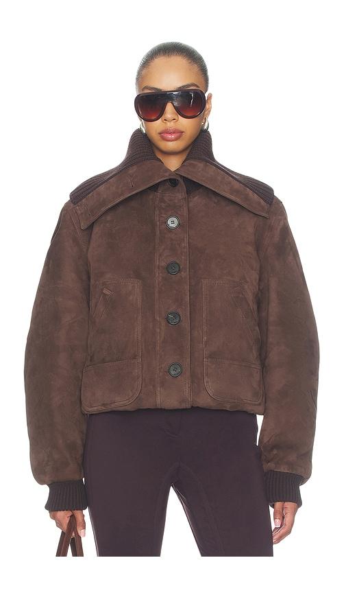 the attico suede bomber jacket in brown. - size 40 (also in 42)