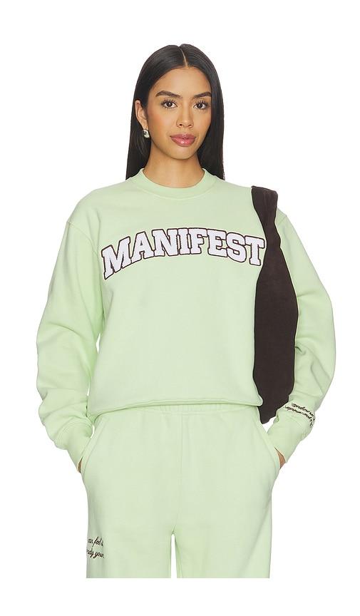 the mayfair group manifest classic crewneck sweatshirt in mint. - size l/xl (also in xs, s/m, m/l)