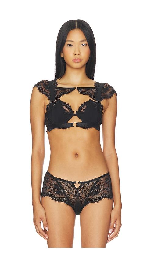 thistle and spire daphne bra in black. - size s (also in xs)