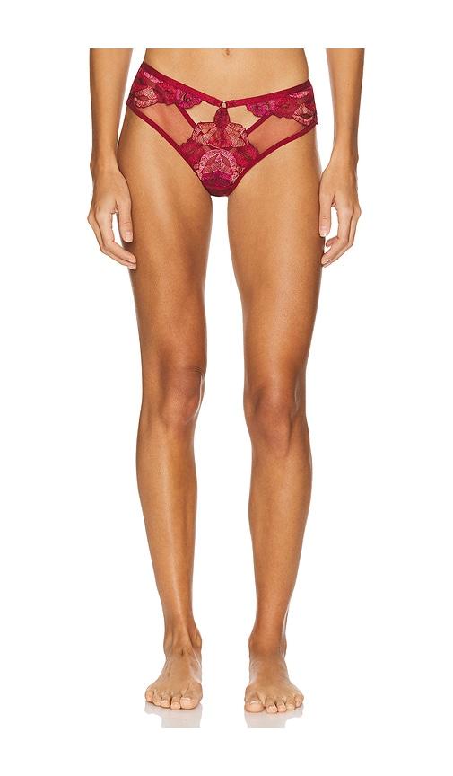 thistle and spire eye candy thong in burgundy. - size s (also in xs)
