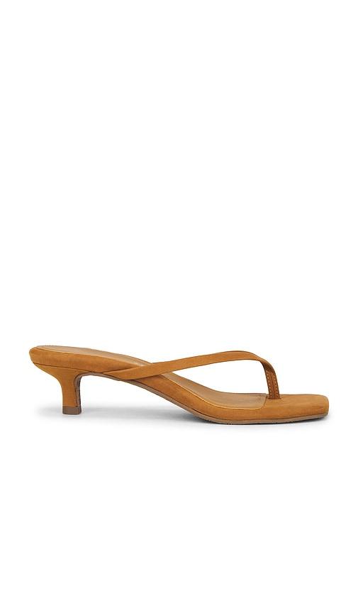 tkees julia square toe suede flip flop in brown. - size 7 (also in 8, 9)
