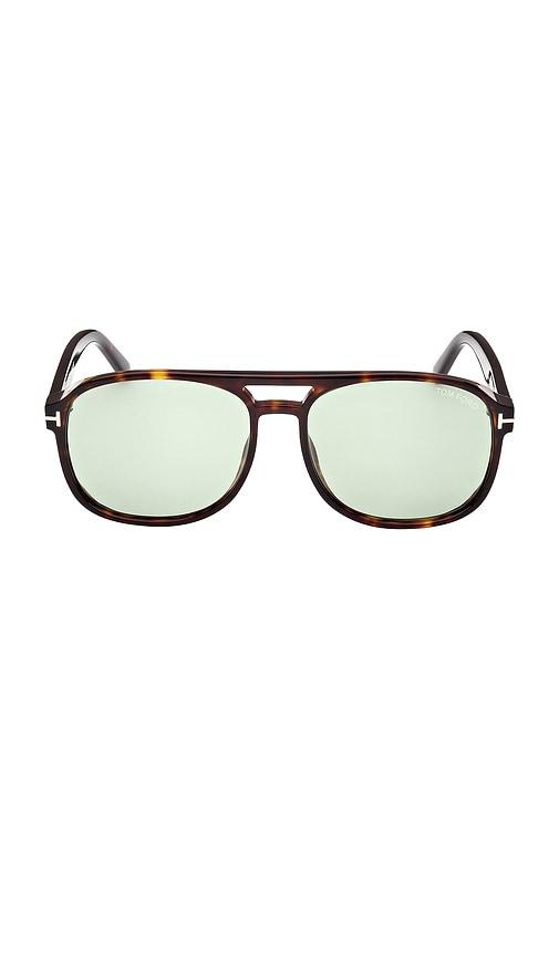tom ford rosco sunglasses in brown.