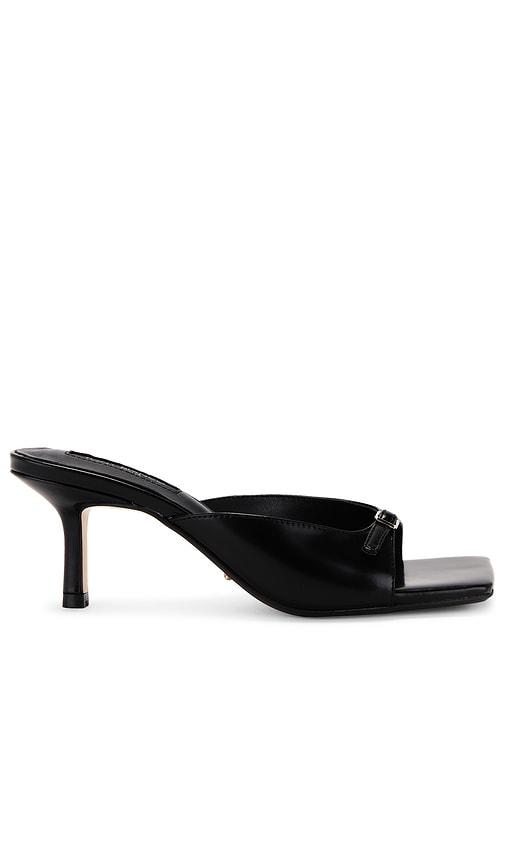 tony bianco asar sandal in black. - size 7 (also in 6.5)