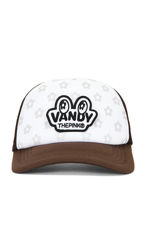 vandythepink eye logo patch trucker hat in brown.
